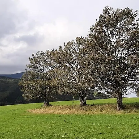 Apartmán A1